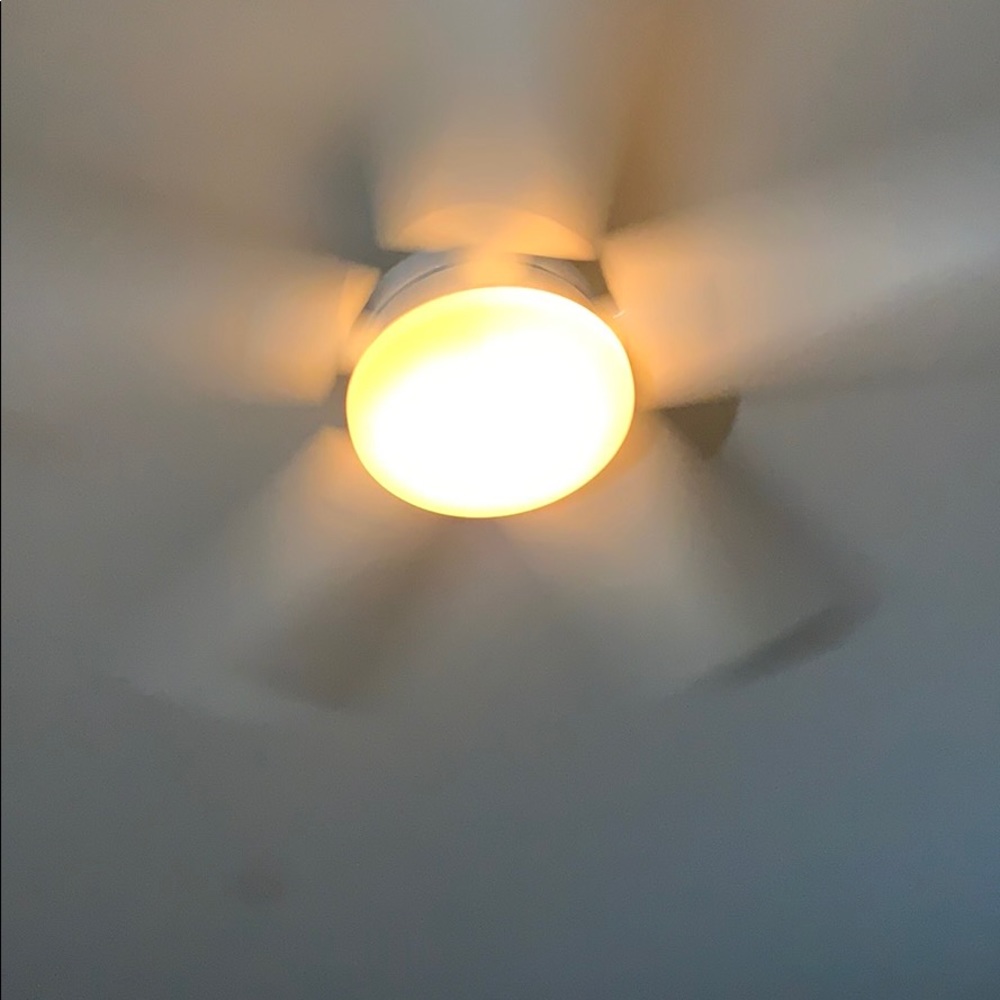 Meet your Posher, Ruth